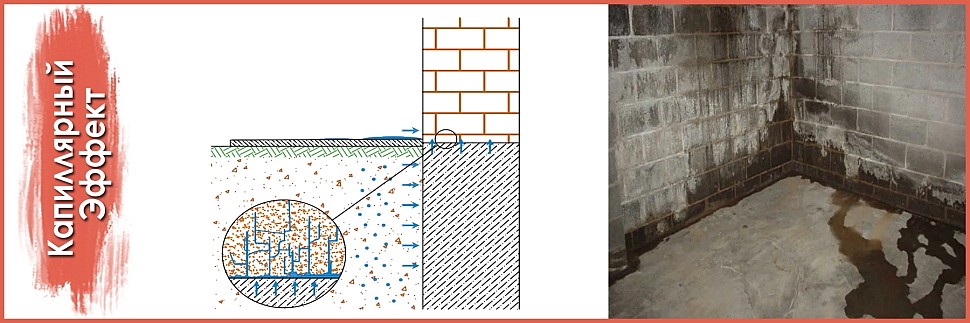 протечка подвала из за капиллярного подсоса влаги