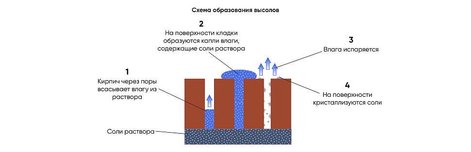 Схема образования высолов