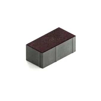 Тротуарная плитка Steingot Прямоугольник 200х100 мм Color Mix Эмбер толщина 80 мм