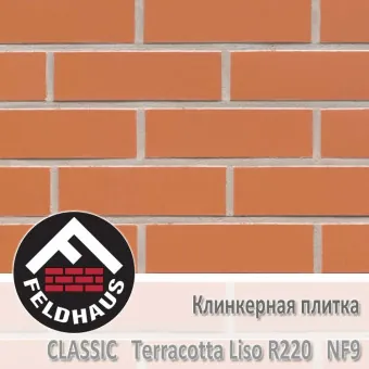 Клинкерная плитка Feldhaus Klinker Terracotta Liso R220 NF9 (240x9x71 мм)