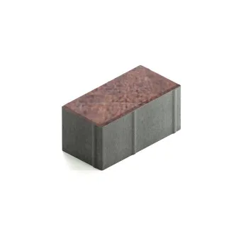 Тротуарная плитка Steingot Прямоугольник 200х100 мм Color Mix Клинкер толщина 100 мм