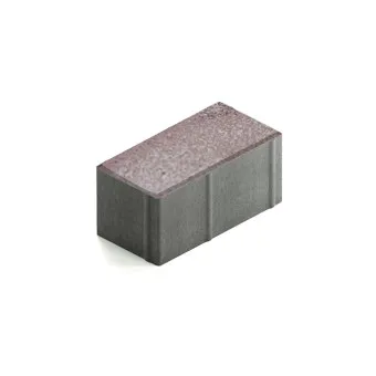 Тротуарная плитка Steingot Прямоугольник 200х100 мм Color Mix Клифф толщина 100 мм