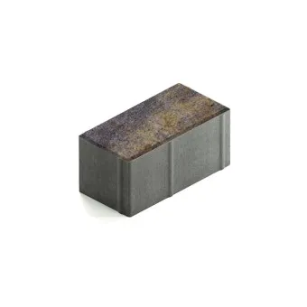 Тротуарная плитка Steingot Прямоугольник 200х100 мм Color Mix Сафари толщина 100 мм