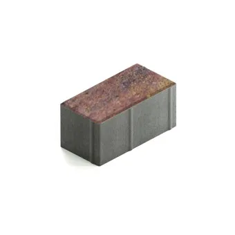 Тротуарная плитка Steingot Прямоугольник 200х100 мм Color Mix Терракота толщина 100 мм
