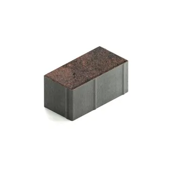 Тротуарная плитка Steingot Прямоугольник 200х100 мм Color Mix Тигр толщина 100 мм