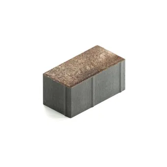 Тротуарная плитка Steingot Прямоугольник 200х100 мм Color Mix Мокко толщина 100 мм