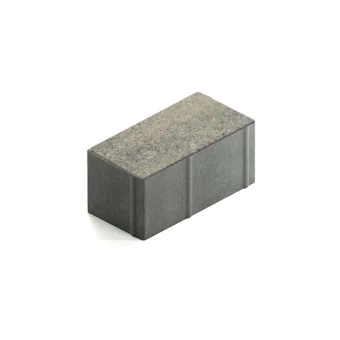 Тротуарная плитка Steingot Прямоугольник 200х100 мм Color Mix Штайн Хром толщина 100 мм