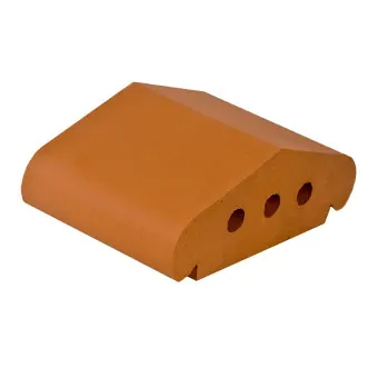 Кирпич профильный ZG Clinker красный 170х110 мм