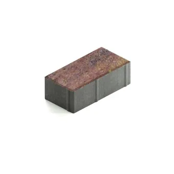 Тротуарная плитка Steingot Прямоугольник 200х100 мм Color Mix Терракота толщина 60 мм