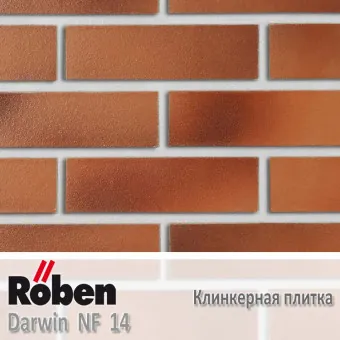 Клинкерная плитка Roben Darwin NF 14 240x14x71 мм
