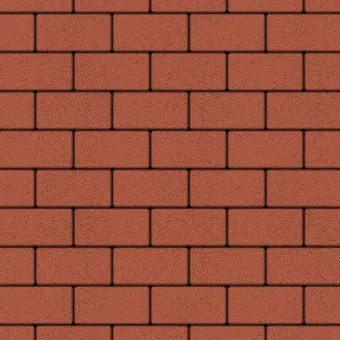 Тротуарная плитка Выбор ПРЯМОУГОЛЬНИК А.2.П.4 Гладкий Красный 200х100х40 мм