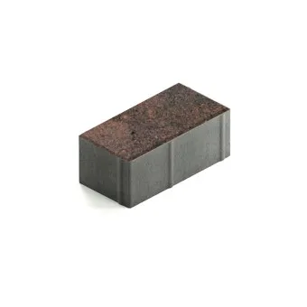 Тротуарная плитка Steingot Прямоугольник 200х100 мм Color Mix Тигр толщина 80 мм