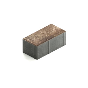 Тротуарная плитка Steingot Прямоугольник 200х100 мм Color Mix Мокко толщина 80 мм