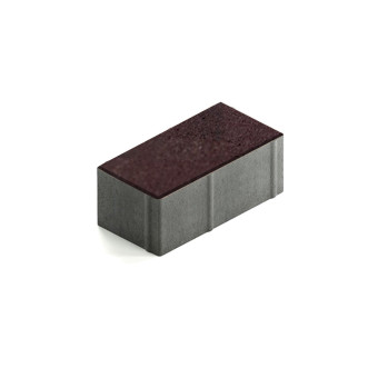Тротуарная плитка Steingot Прямоугольник 200х100 мм Color Mix Эмбер толщина 80 мм