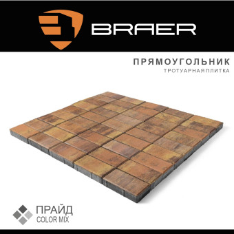 Тротуарная плитка BRAER Прямоугольник Color Mix Прайд 200х100х60 мм