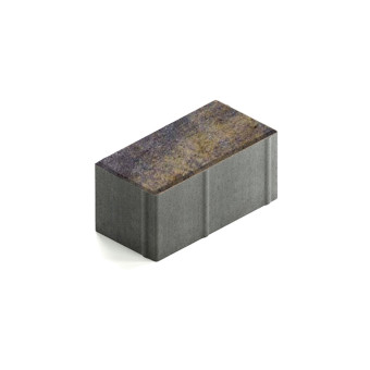 Тротуарная плитка Steingot Прямоугольник 200х100 мм Color Mix Сафари толщина 100 мм