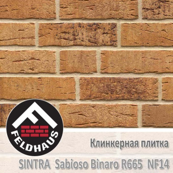 Клинкерная плитка Feldhaus Klinker Sintra Sabioso Binaro R665 NF14 (240x14x71 мм)