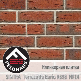 Клинкерная плитка Feldhaus Klinker Sintra Terracotta Bario R698 NF14 (240x14x71 мм)