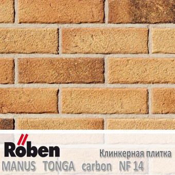 Клинкерная плитка Roben MANUS Tonga Carbon NF 14 (240x14x71)