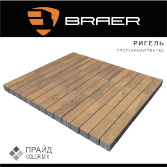 Тротуарная плитка BRAER Ригель Color Mix Прайд 60 мм