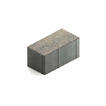 Тротуарная плитка Steingot Прямоугольник 200х100 мм Color Mix Штайн Хром толщина 100 мм