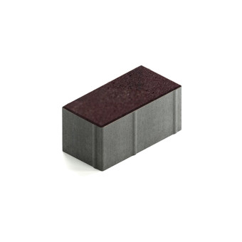 Тротуарная плитка Steingot Прямоугольник 200х100 мм Color Mix Эмбер толщина 100 мм
