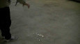 Свойства LIQUID ROCK SH Свойства LIQUID ROCK SH