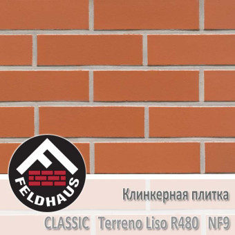 Клинкерная плитка Feldhaus Klinker Terreno Liso R480 NF9 (240x9x71 мм)