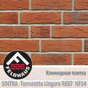 Клинкерная плитка Feldhaus Klinker Sintra Terracotta Linguro R687 NF14 (240x14x71 мм)