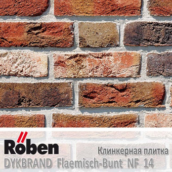 Клинкерная плитка Roben DYKBRAND Flaemisch-Bunt NF 14 (240x14x71)