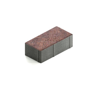 Тротуарная плитка Steingot Прямоугольник 200х100 мм Color Mix Клинкер толщина 60 мм