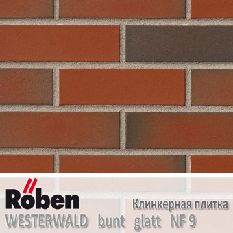 Клинкерная плитка Roben WESTERWALD Bunt Glatt NF 9 240x9x71 мм