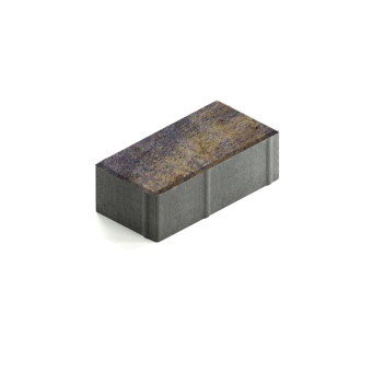 Тротуарная плитка Steingot Прямоугольник 200х100 мм Color Mix Сафари толщина 60 мм