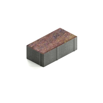 Тротуарная плитка Steingot Прямоугольник 200х100 мм Color Mix Терракота толщина 60 мм
