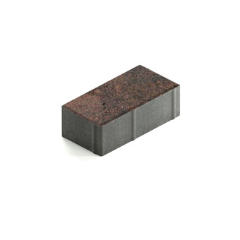 Тротуарная плитка Steingot Прямоугольник 200х100 мм Color Mix Тигр толщина 60 мм