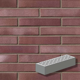 Кирпич клинкерный ROBEN ADELAIDE гладкий LDF 290x115x52