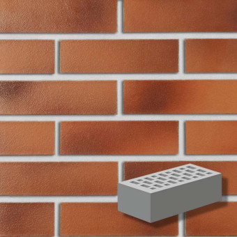 Кирпич клинкерный ROBEN DARWIN NF 240x115x71