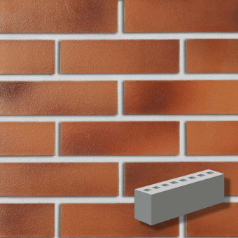 Кирпич клинкерный ROBEN DARWIN NF SP 240x65x71