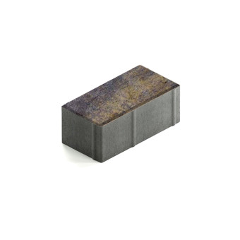 Тротуарная плитка Steingot Прямоугольник 200х100 мм Color Mix Сафари толщина 80 мм