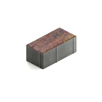 Тротуарная плитка Steingot Прямоугольник 200х100 мм Color Mix Терракота толщина 80 мм