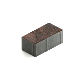 Тротуарная плитка Steingot Прямоугольник 200х100 мм Color Mix Тигр толщина 80 мм